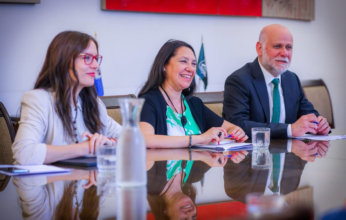 Ministerio Secretaría General de la Presidencia tweet media