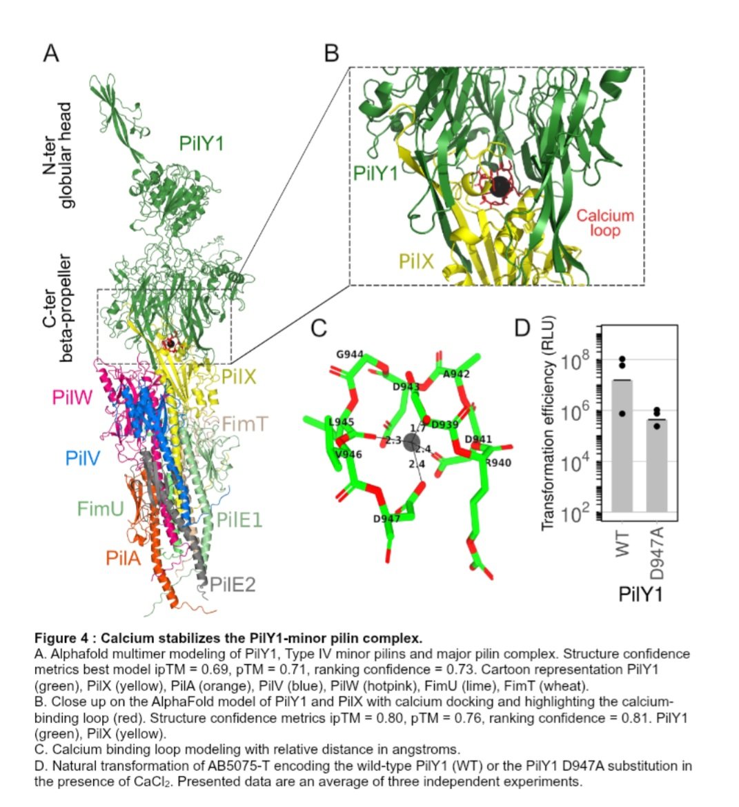 Goldlust Kelly tweet media