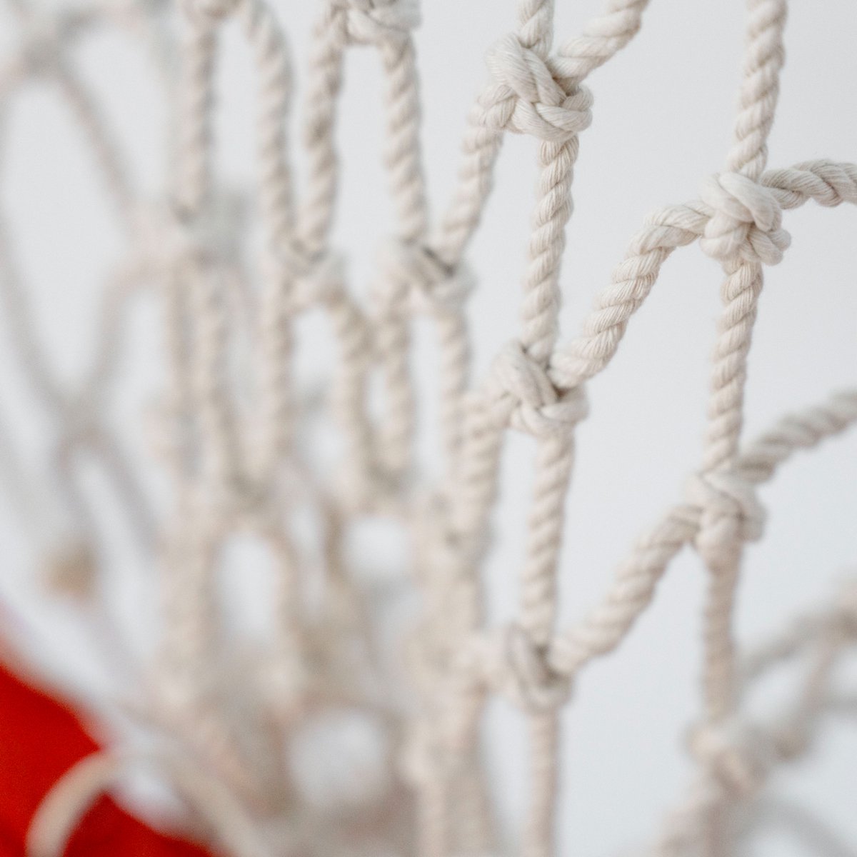 Bison Drops tweet media