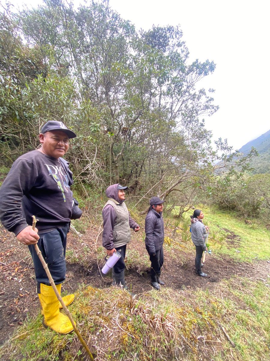 ETAPAOficial's tweet photo. 🚨 Guardaparques de ETAPA EP localizan con éxito a personas extraviadas en Osohuayco

La mañana de hoy, Guardaparques de ETAPA EP, localizaron a las personas que se encontraban extraviadas en el sector de Osohuayco, entre el Bosque de San Antonio y Llaviuco.

✅ En el operativo participaron Bomberos Cuenca, GOE y Guardaparques de la empresa.
✅ Las personas se encuentran en buen estado de salud. Al no reconocer la ruta y ante condiciones climáticas nubladas, decidieron resguardarse en una cueva.

⚠️ ETAPA EP recuerda a la ciudadanía que el registro previo de visitantes es obligatorio, así como informarse sobre las rutas autorizadas antes de ingresar a estas áreas naturales. Estas medidas son fundamentales para garantizar la seguridad de quienes las recorren y facilitar una respuesta oportuna ante cualquier emergencia.

#ElAguaEsVida 💦
@czamoramatute 
@MunicipioCuenca