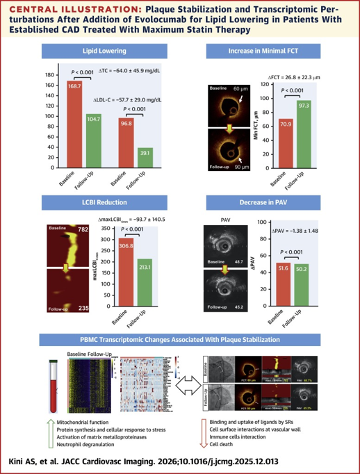 DoctorKini tweet media