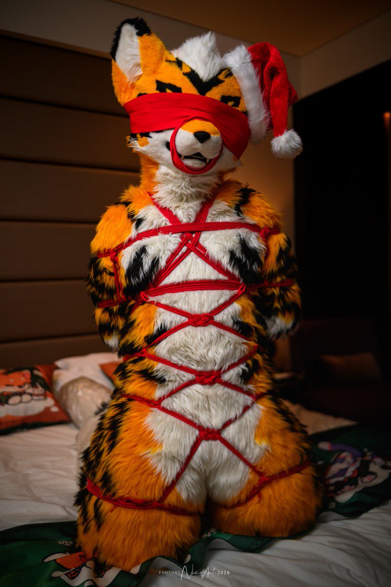 Ryusuke 🐱🐱 🔜 Thaitails 🇹🇭 tweet media