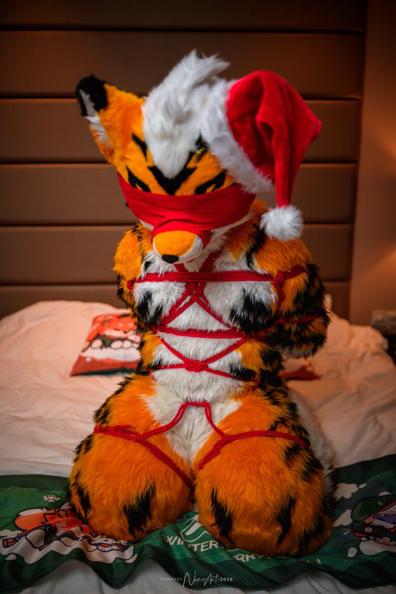 Ryusuke 🐱🐱 🔜 Thaitails 🇹🇭 tweet media