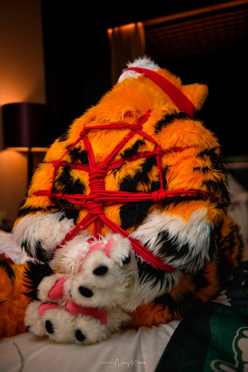 Ryusuke 🐱🐱 🔜 Thaitails 🇹🇭 tweet media