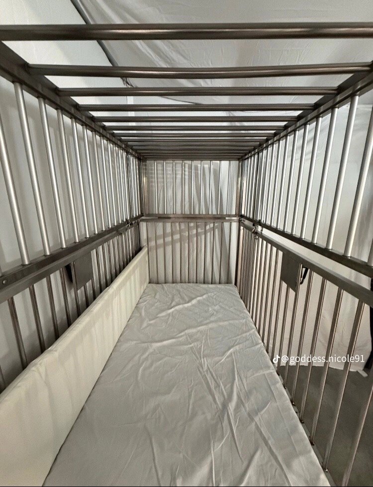 TerraMistr30860's tweet photo. Get back inside your cage you dog 🐶 https://t.co/6YXNwdaUhW