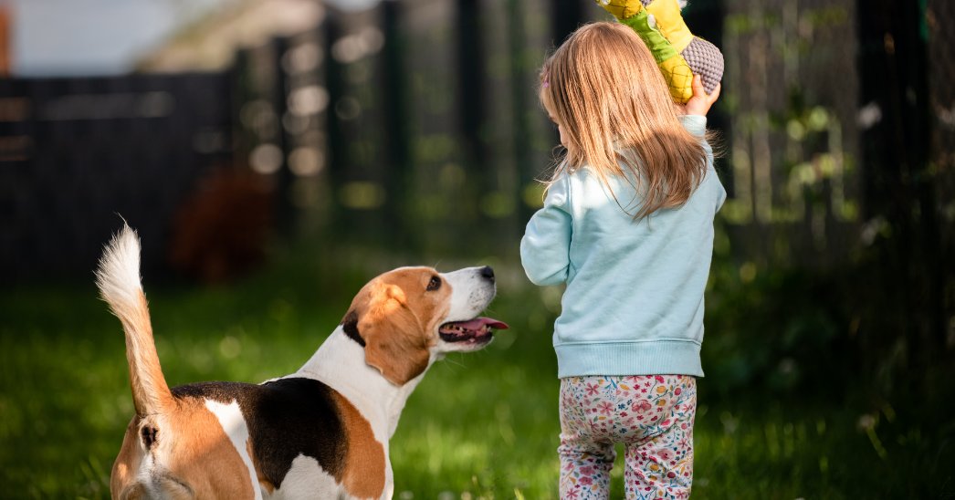 The Pet Cancer Foundation tweet media