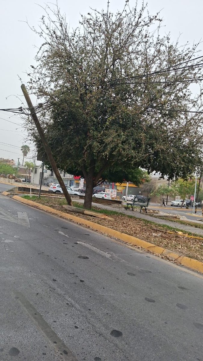 Comunidad de Vecinos de San Jemo tweet media