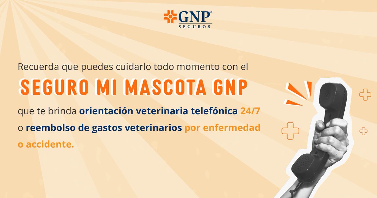 GNPSeguros's tweet photo. El golpe de calor en mascotas ocurre cuando su temperatura corporal supera los 42ºC, causando jadeo excesivo, debilidad, etc. Te dejamos unos tips para cuidarlos esta temporada y recueda que con Mi Mascota GNP también les demuestras amor. GNP por la Protección | Vivir es increíble