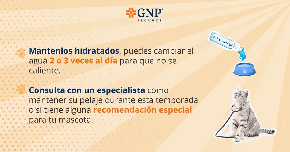 GNPSeguros's tweet photo. El golpe de calor en mascotas ocurre cuando su temperatura corporal supera los 42ºC, causando jadeo excesivo, debilidad, etc. Te dejamos unos tips para cuidarlos esta temporada y recueda que con Mi Mascota GNP también les demuestras amor. GNP por la Protección | Vivir es increíble