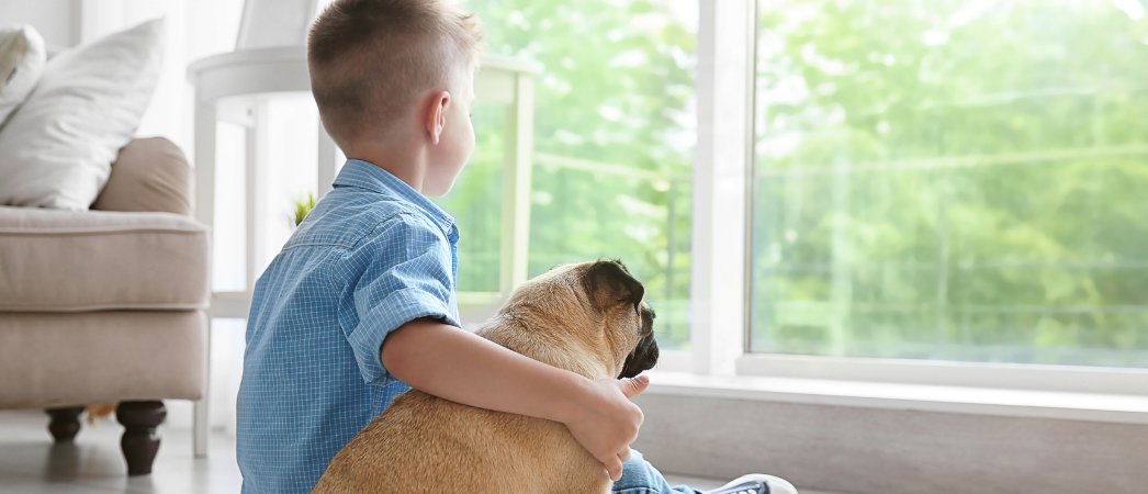 The Pet Cancer Foundation tweet media