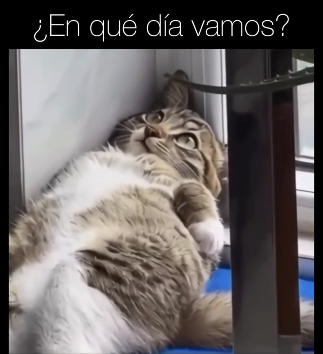 𝕊𝕖𝕣𝕘𝕖 𝔹𝕒𝕥𝕞𝕒𝕟 tweet media