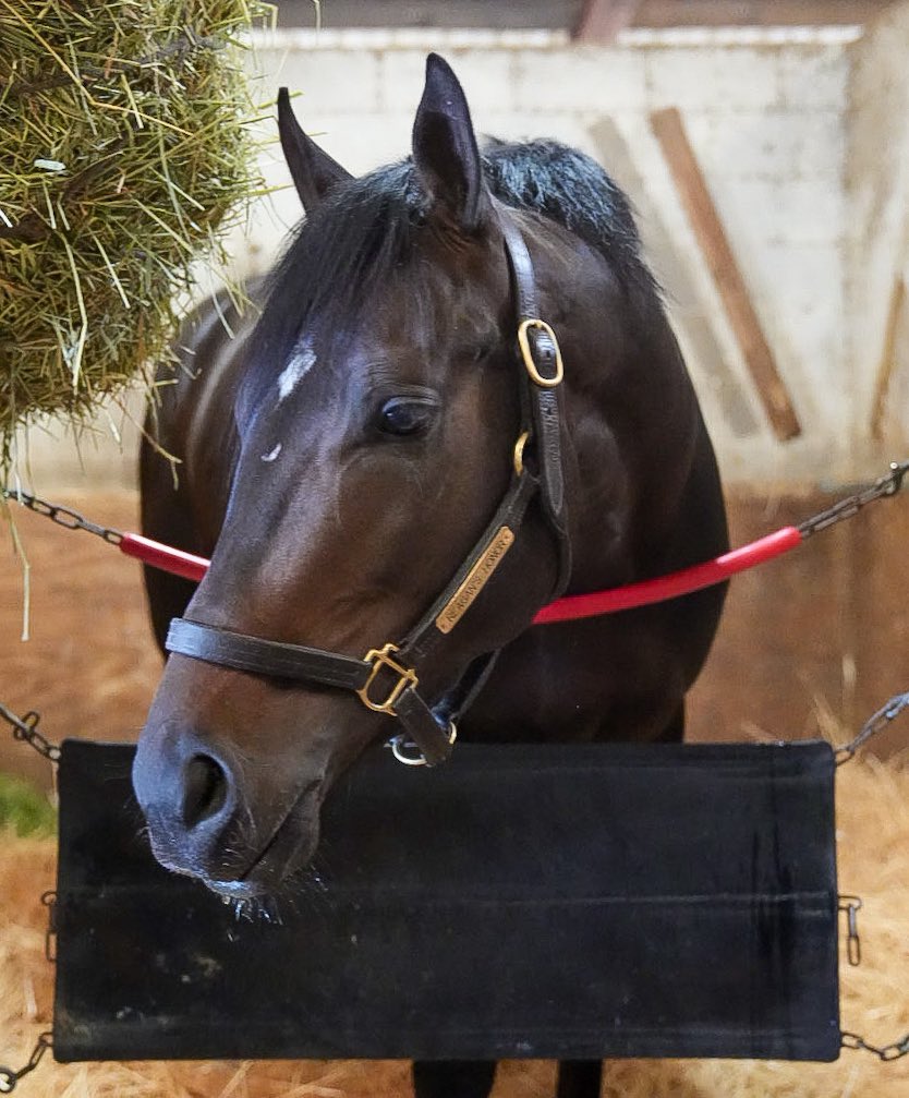 Cherie DeVaux tweet media