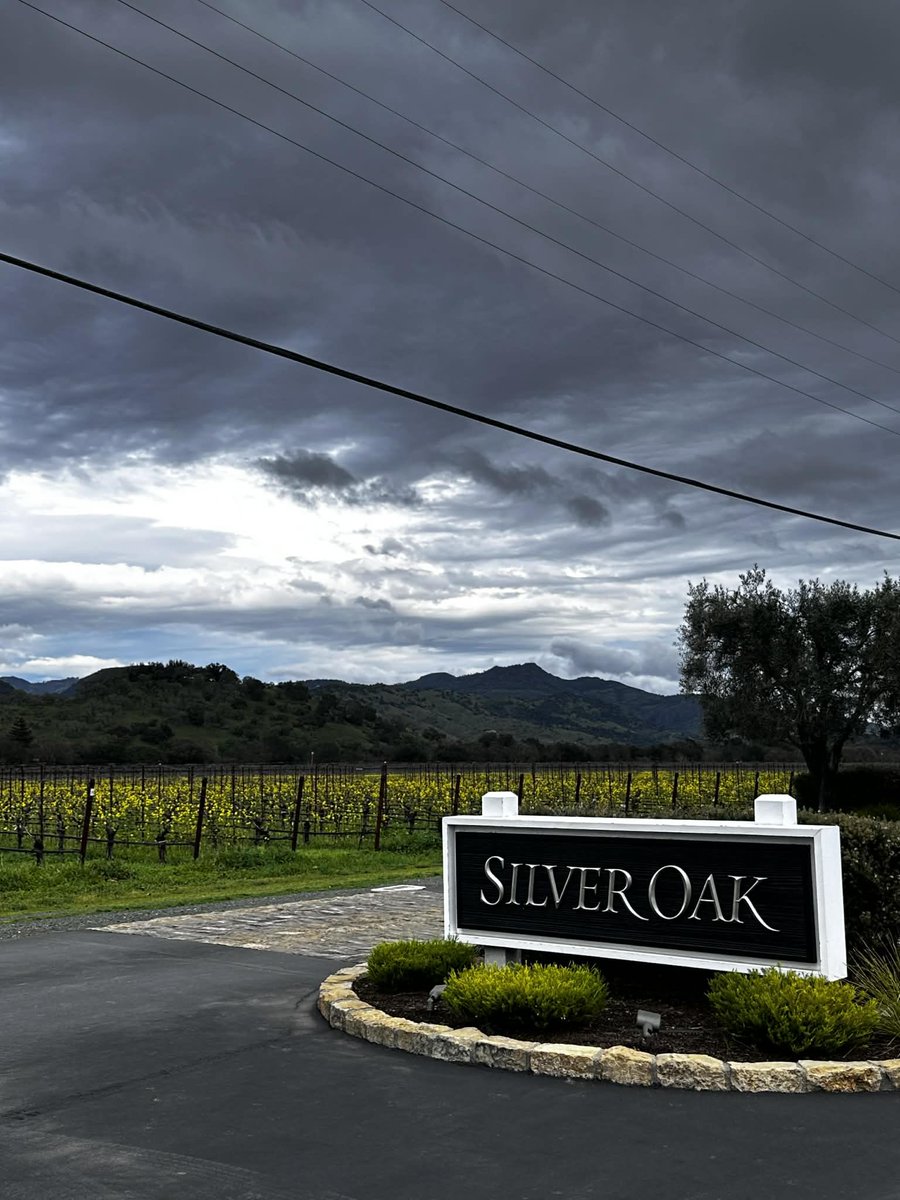 mari_wine_'s tweet photo. ナパのシルバー・オーク🍷 SILVER OAK, Napa Valley 🇺🇸

#ワイン https://t.co/h2cbE95XUN