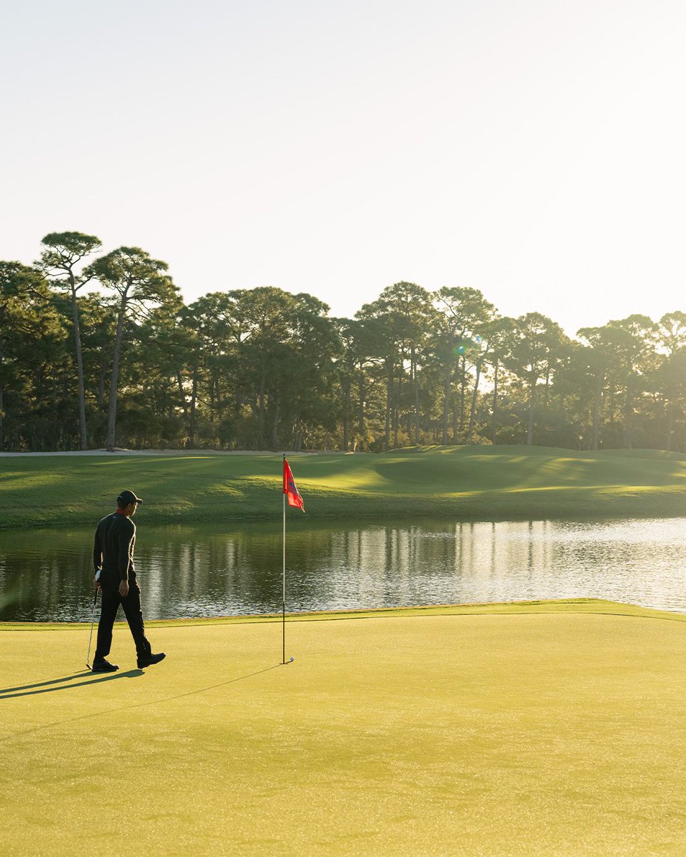 SunDayRed's tweet image. For Tiger, eliminating potential distractions isn't optional, it's essential. The minimal, understated aesthetic of the Pioneer Willow is derived from his preference for a clean toe line in his shoe when he's lining up a shot to maximize focus. #SunDayRed