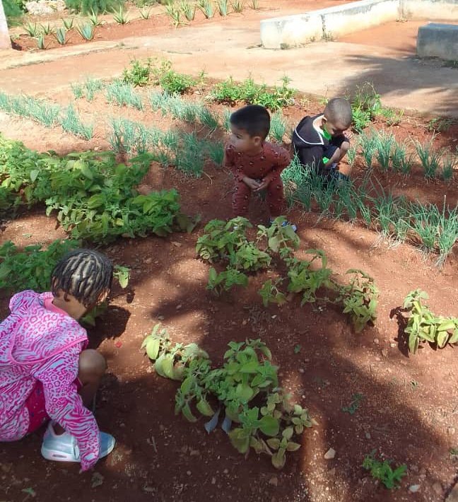 MatildeCar473's tweet photo. "La educación,  es un proceso que no termina nunca". Así se desempeñan,  la estudiante de la escuela pedagógica con los niños de 5to,  en la actividad de Formación Laboral en el huerto. @DiazCanelB @CubaMined @yarobyalvarez @naimatrujillob @GladysArtemisa @RicardoArtemisa https://t.co/ar3ke5OlKE