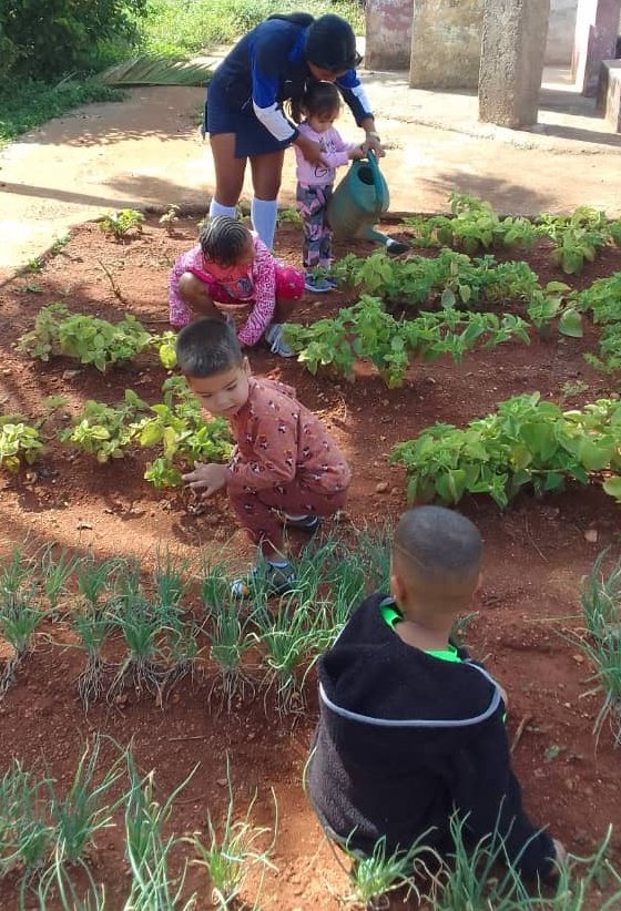 MatildeCar473's tweet photo. "La educación,  es un proceso que no termina nunca". Así se desempeñan,  la estudiante de la escuela pedagógica con los niños de 5to,  en la actividad de Formación Laboral en el huerto. @DiazCanelB @CubaMined @yarobyalvarez @naimatrujillob @GladysArtemisa @RicardoArtemisa https://t.co/ar3ke5OlKE