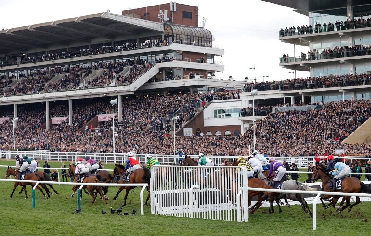 My Racing Tips tweet media