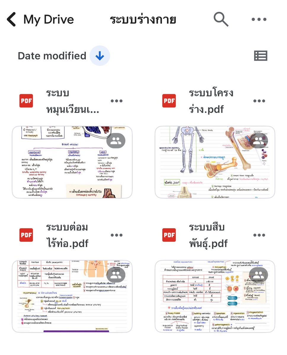#yokinglecture แจกสรุประบบร่างกาย 4 บท ⭐️
( หมุนเวียนเลือด , โครงร่าง , ต่อมไร้ท่อ , สืบพันธุ์ )

📍drive.google.com/drive/folders/…

#dek69 #dek70 #dek71
