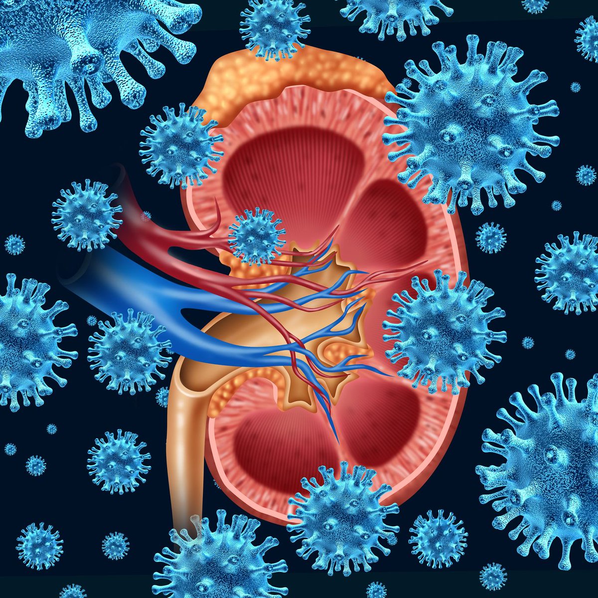 COVID19_disease's tweet photo. ⚠️ BREAKING:

COVID-19 Found to Raise Risk of Chronic Kidney Disease by 50%, Experts Sound Alarm Over Lasting Organ Damage https://t.co/6fskdkD80x