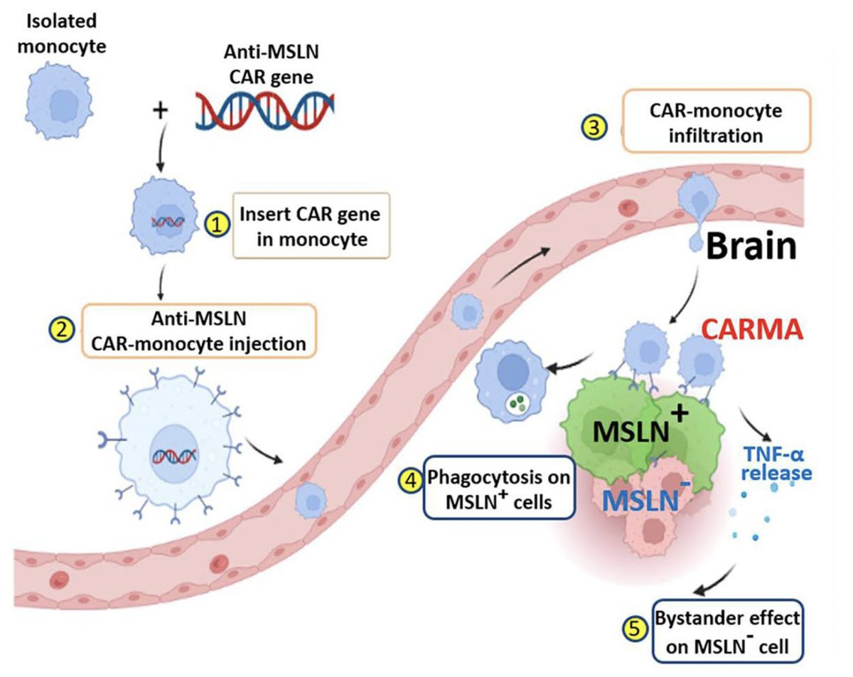 Eric Topol tweet media