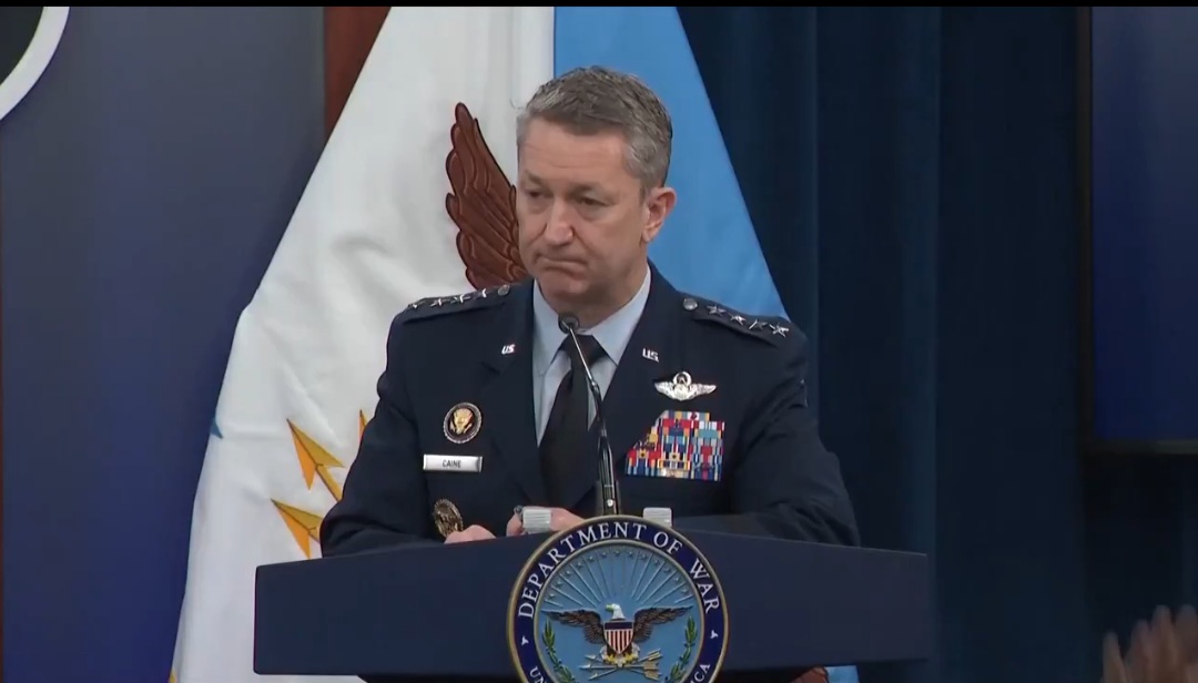 novayaDigit tweet media