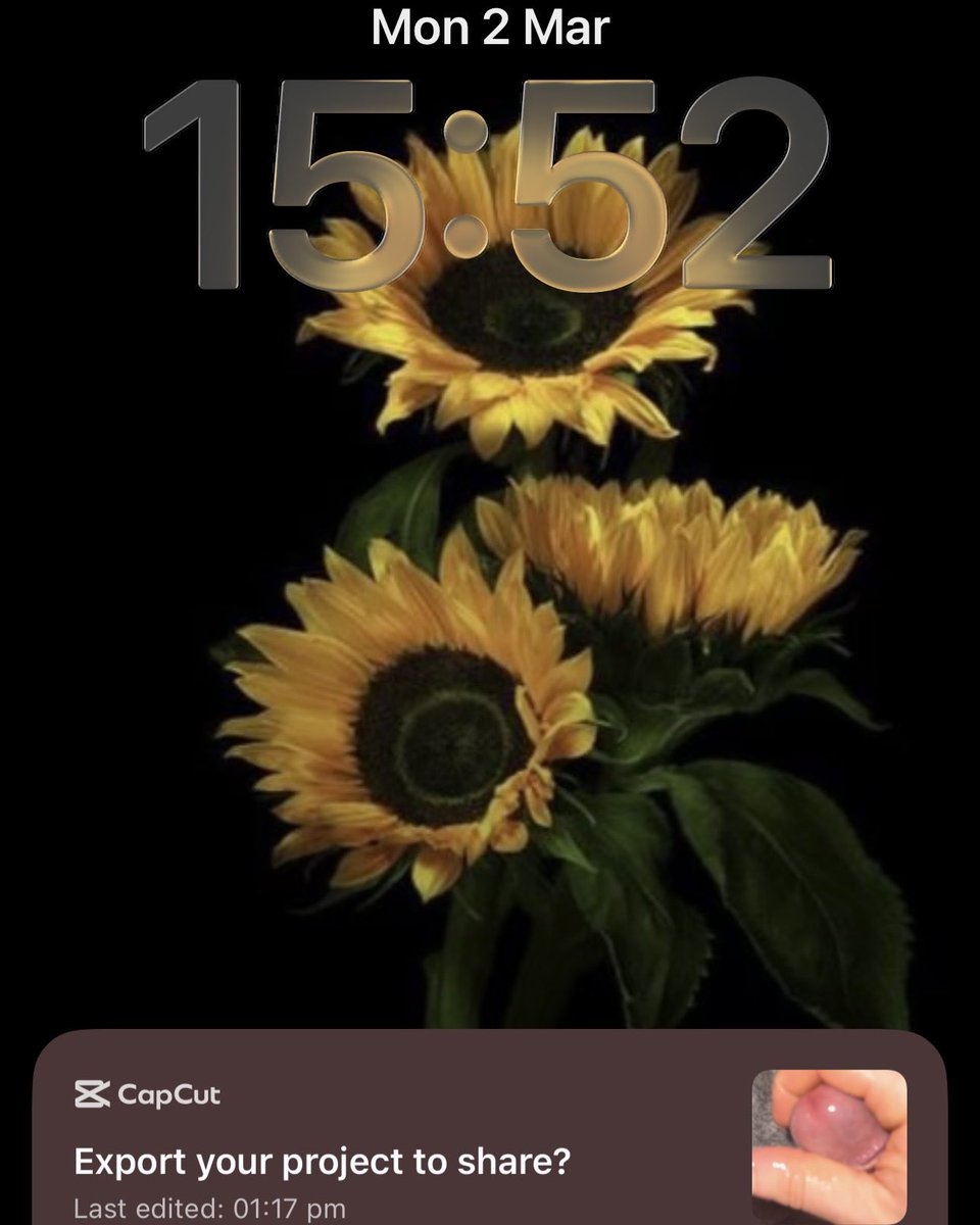 axel8aries's tweet photo. Guess my favourite flower… and my favourite editing tool 🌻👀 https://t.co/Zif3wb8bd7