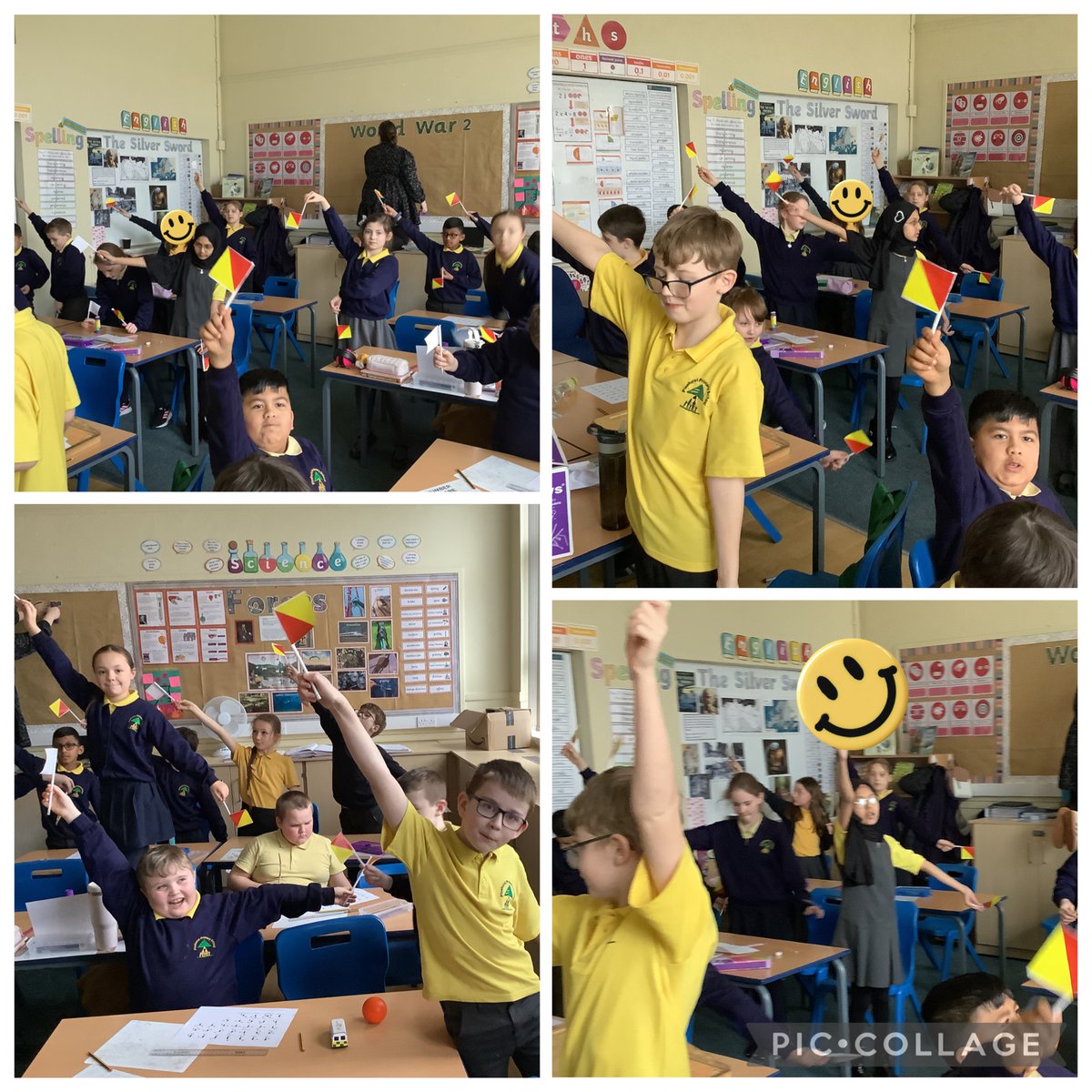 Maple Year 5 tweet media