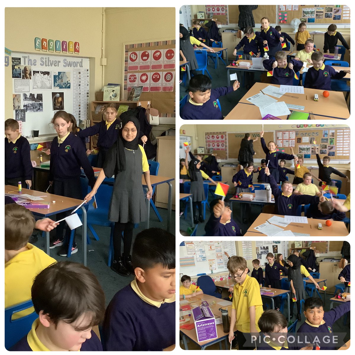 Maple Year 5 tweet media