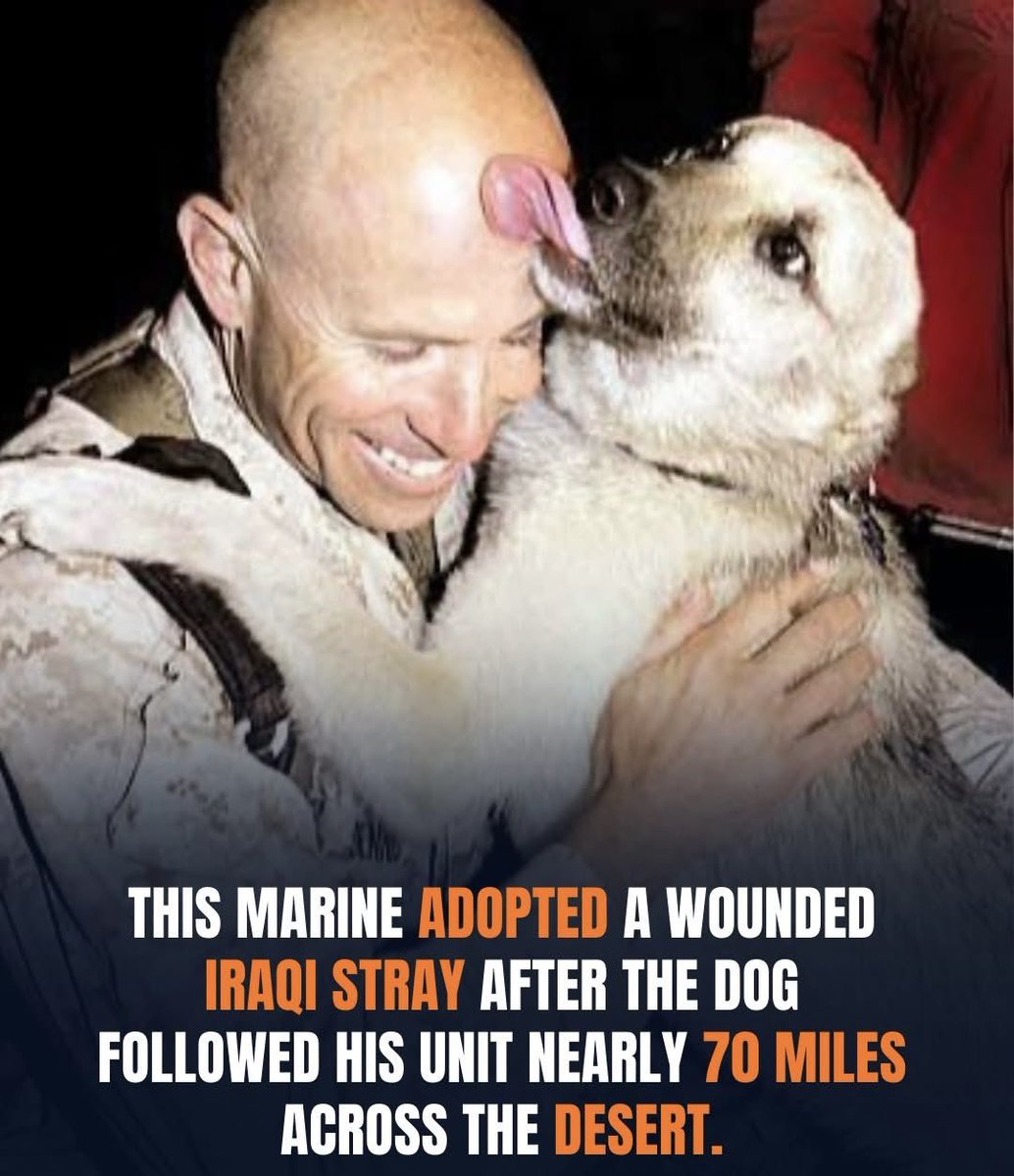 PROTECT ALL WILDLIFE tweet media