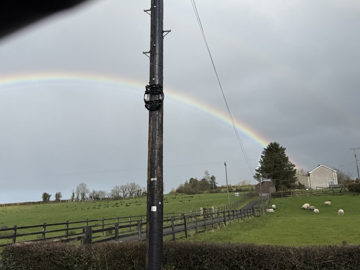 Scott Mcalister tweet media