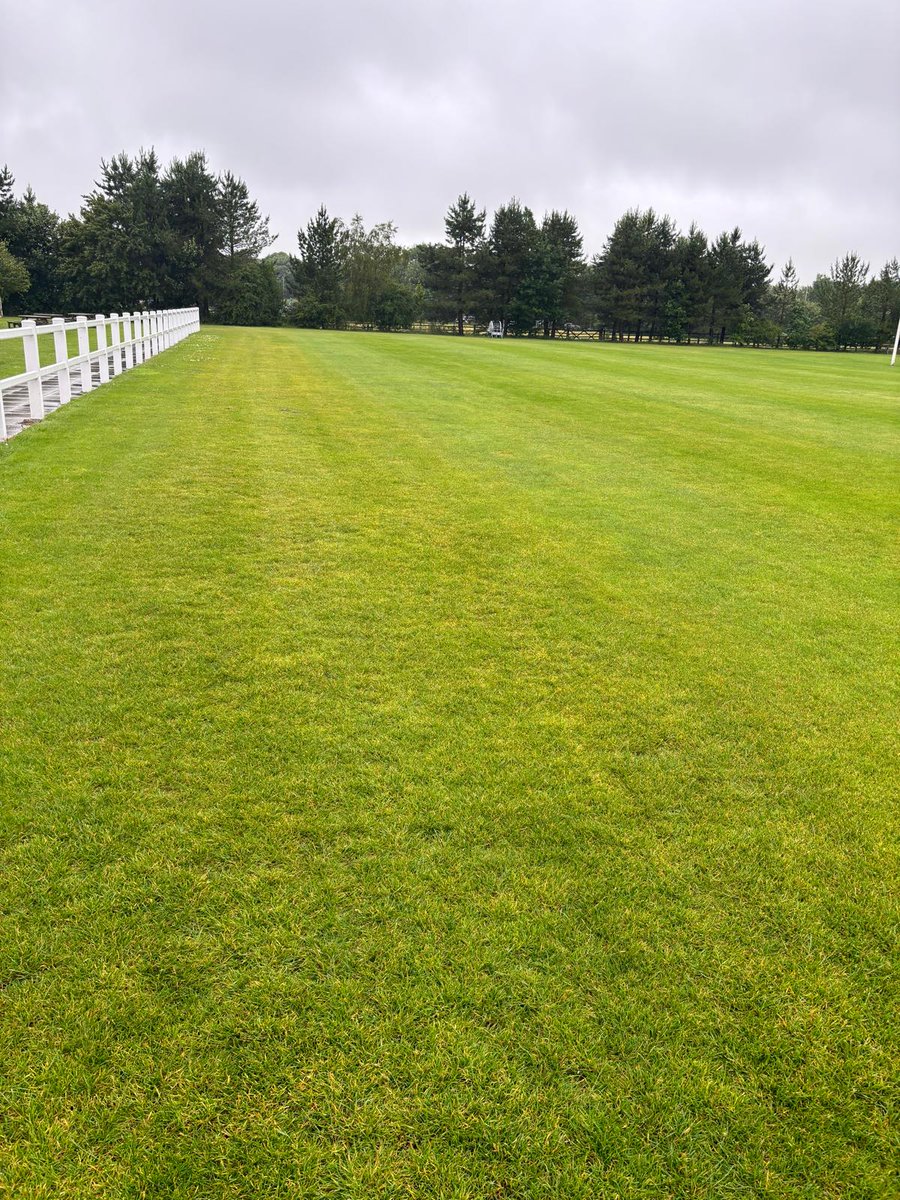 AlgifolUK tweet media