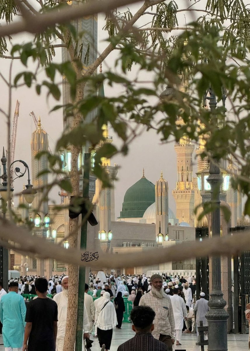 UlKattana's tweet photo. صلی اللہ علیہ والہ وسلم ♥️ https://t.co/wCjJ8C4e5N