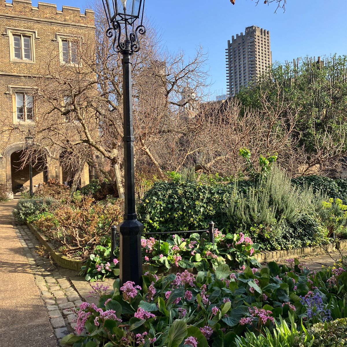 CharterhouseEC1's tweet photo. It is wonderful to see the first signs of spring appearing in Charterhouse Square and our courtyard gardens.

With the daffodils and a bit of long-awaited sunshine, you can really feel the season starting to change. It is a lovely time to walk through the gardens, although perhaps not quite warm enough to sit there for long just yet! 

#SpringDays #NatureLovers #GardenTours #ExploreLondon #VisitLondon