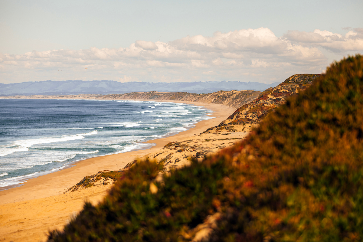 Cal State Monterey Bay tweet media
