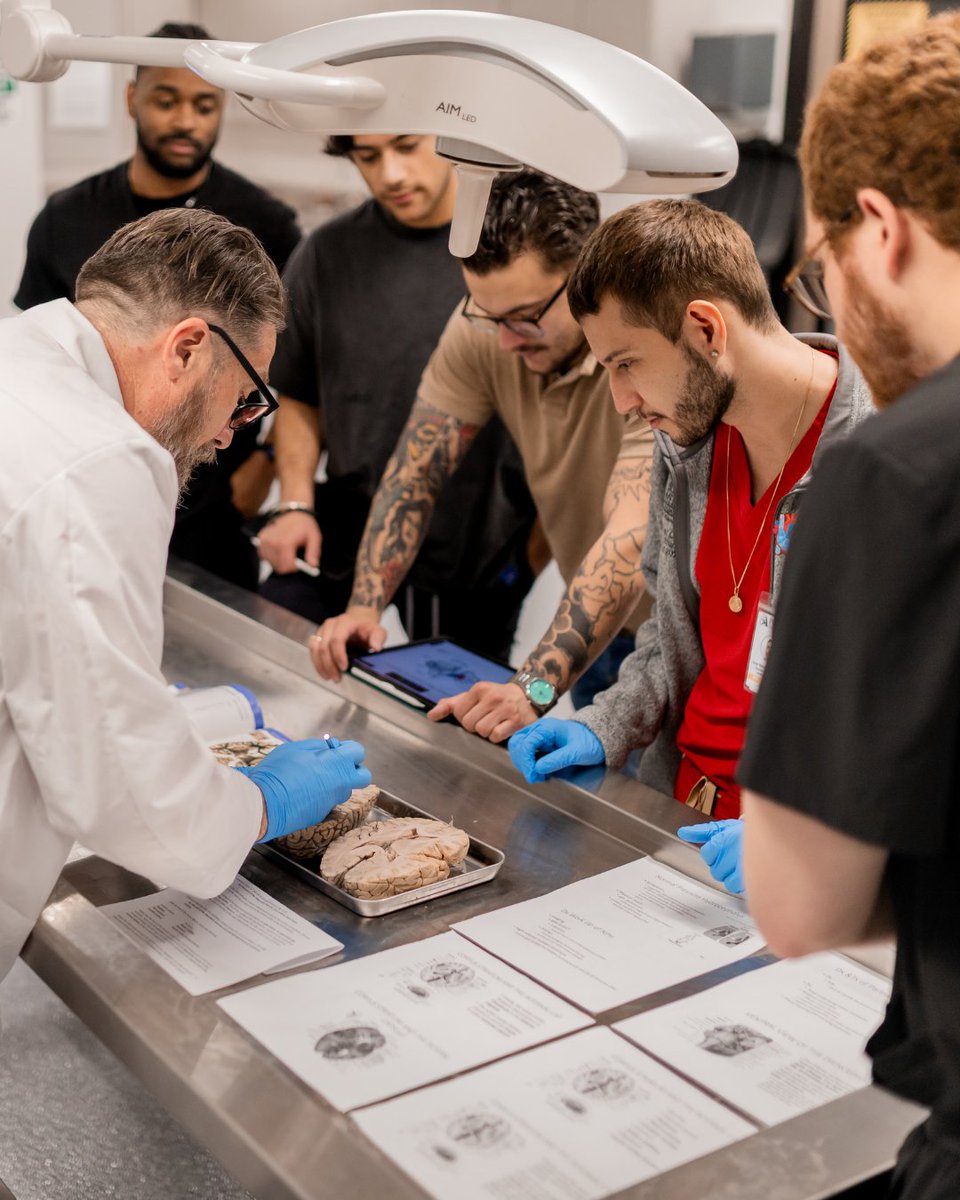 PHSU St. Louis tweet media