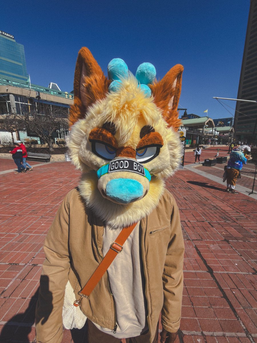 🪴𝙆𝙊𝙁𝙀𝙀🪴 tweet media