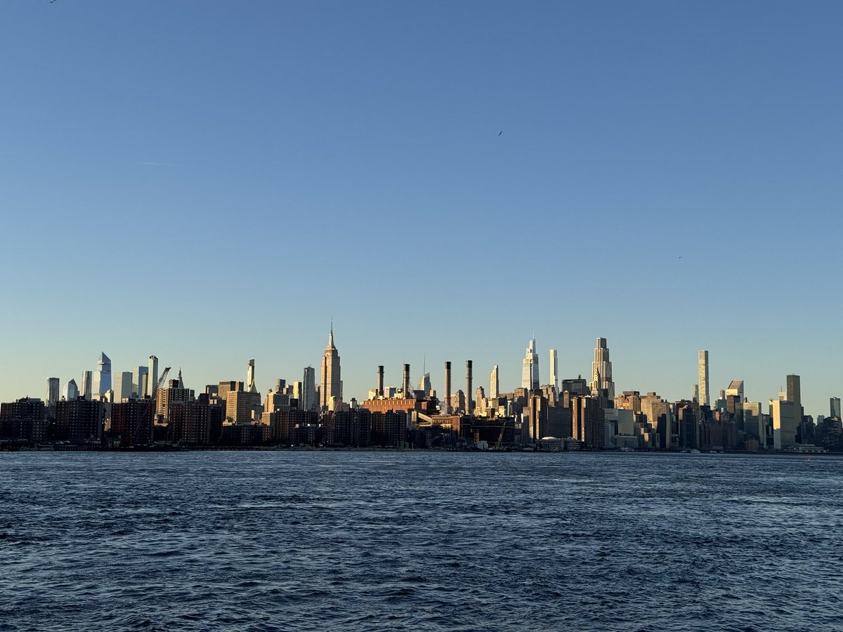 honeybunyyy tweet media