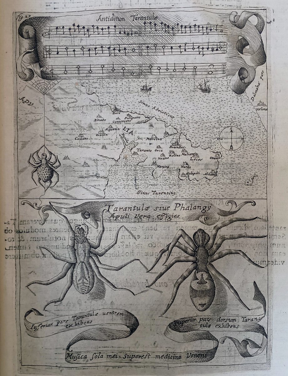 Marsh's Library tweet media