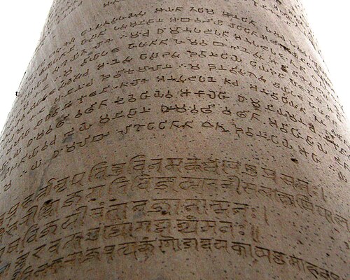 The Delhi-Topra pillar, at Ferozshah Kotla, Delhi is an Ashokan pillar. 

The inscription on the pillar is the Pillar edict-VII. 

The inscription is one of the first examples of animal protection and prohibits killing of animals. These include:

1) Parrots, Mainas, boneless