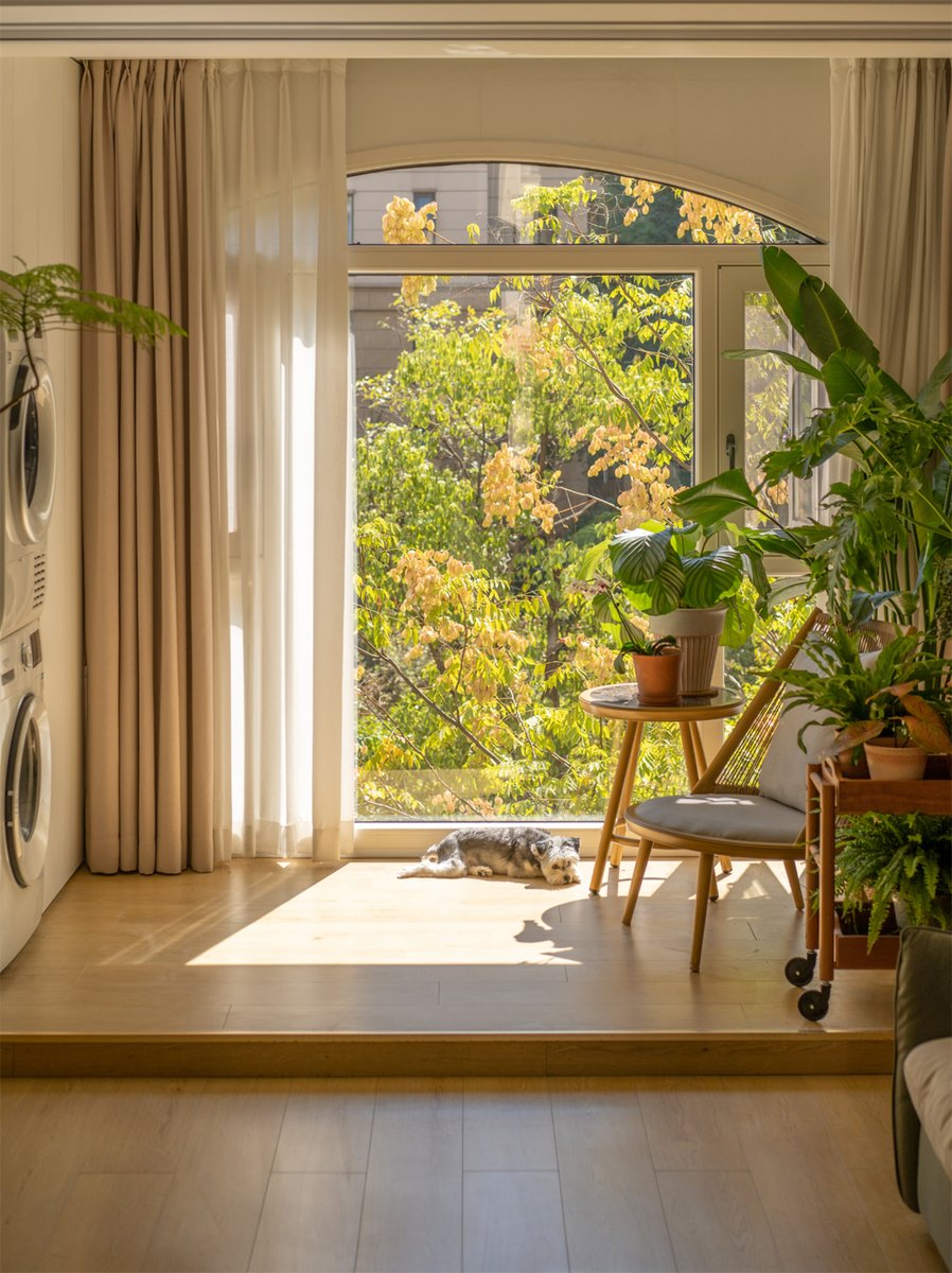 Northstar - Official Assistan tweet media