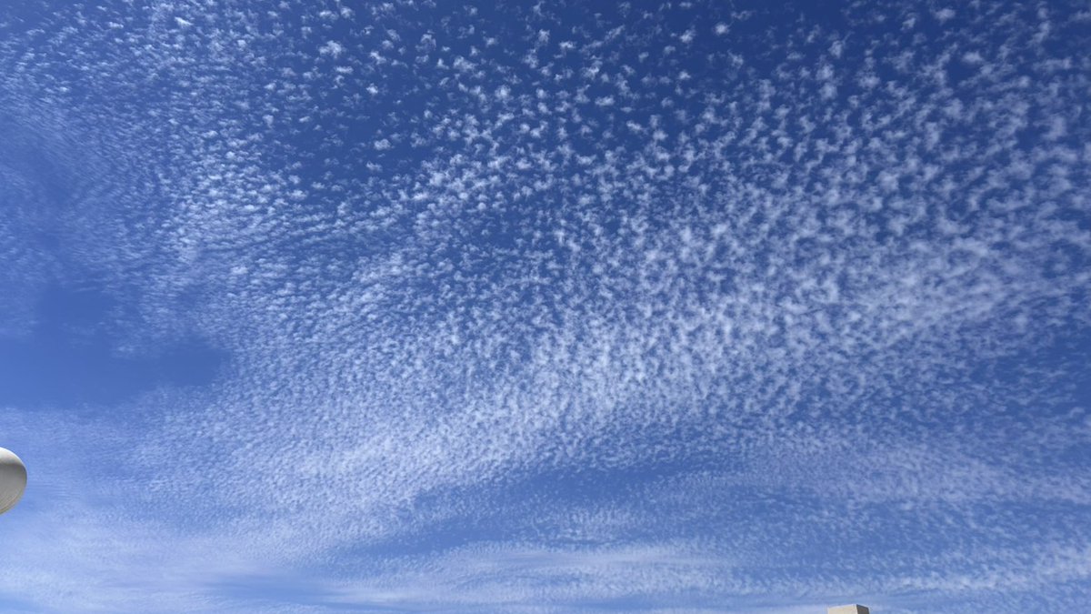 ☆Raghad☆♪ tweet media