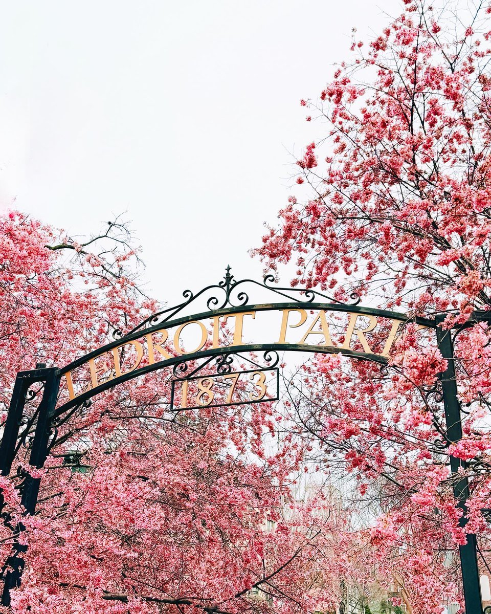 Visit Washington, DC tweet media