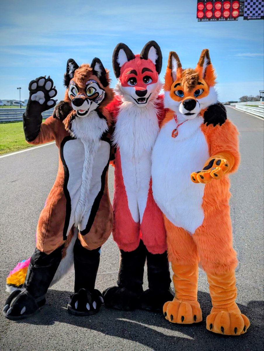 KurtdeVos 🇬🇧🦊 tweet media