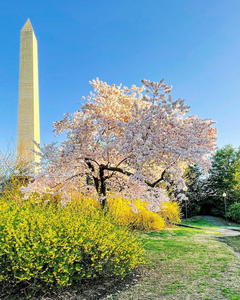 Visit Washington, DC tweet media