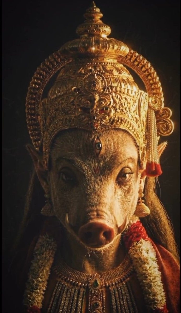 Dharmsena_1's tweet photo. Varahi Amma’s blessings turn darkness into divine light.