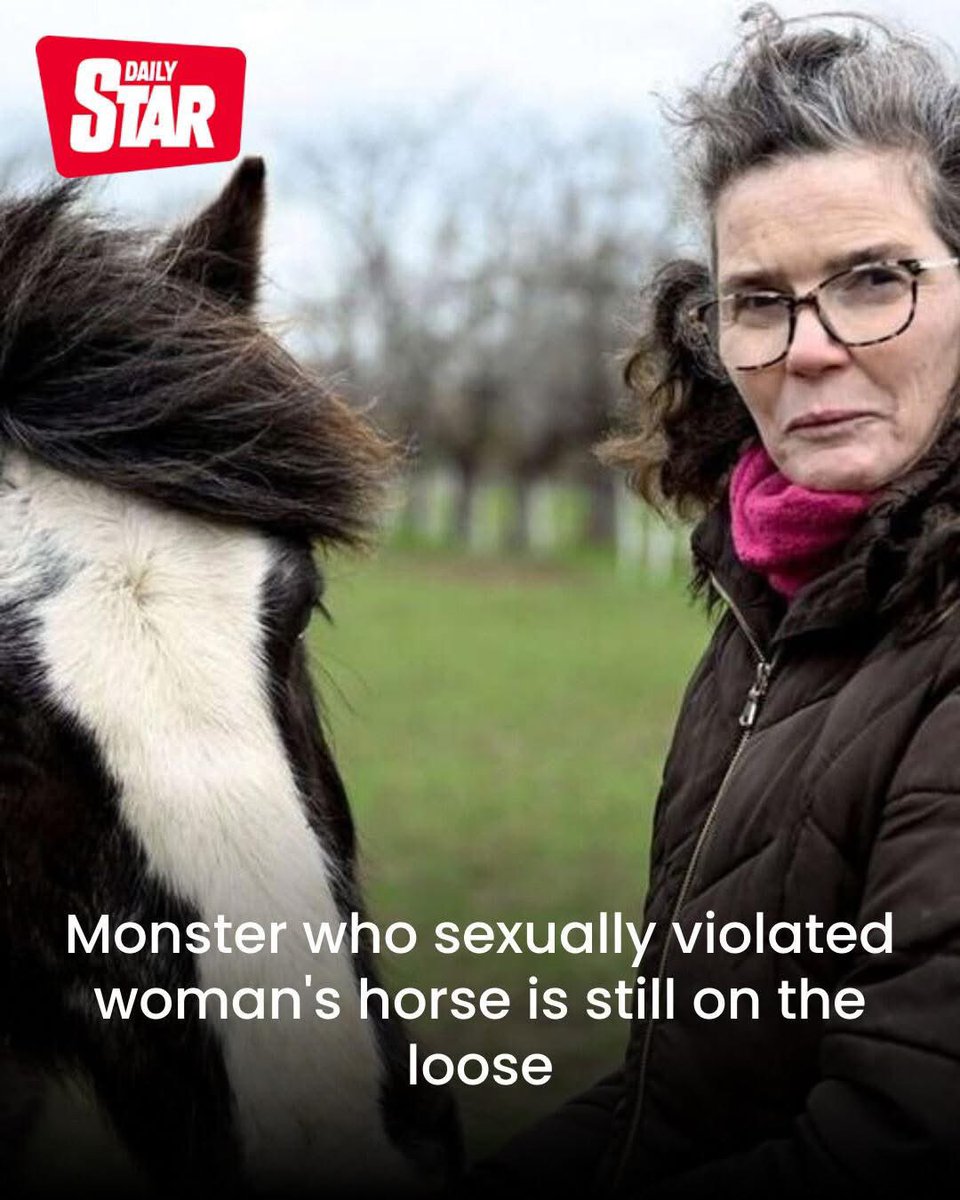 Protect_Wldlife's tweet photo. Monster On The Loose!

A woman is appealing for help to find the “monster” who “sexually violated” her horse. Julie Bonner is concerned the unidentified man, who was captured on CCTV performing an alleged sex act on her horse and is still on the loose, could go on to attack women or children.

The 44-year-old’s horse, Charlie, was alone at Pheasant Stables in Rainham, Kent, when an intruder jumped a fence and allegedly committed bestiality. With the act caught on camera, police were contacted immediately, and an investigation was launched. However, there has been no luck in finding the suspect.

Credit: Daily Star.