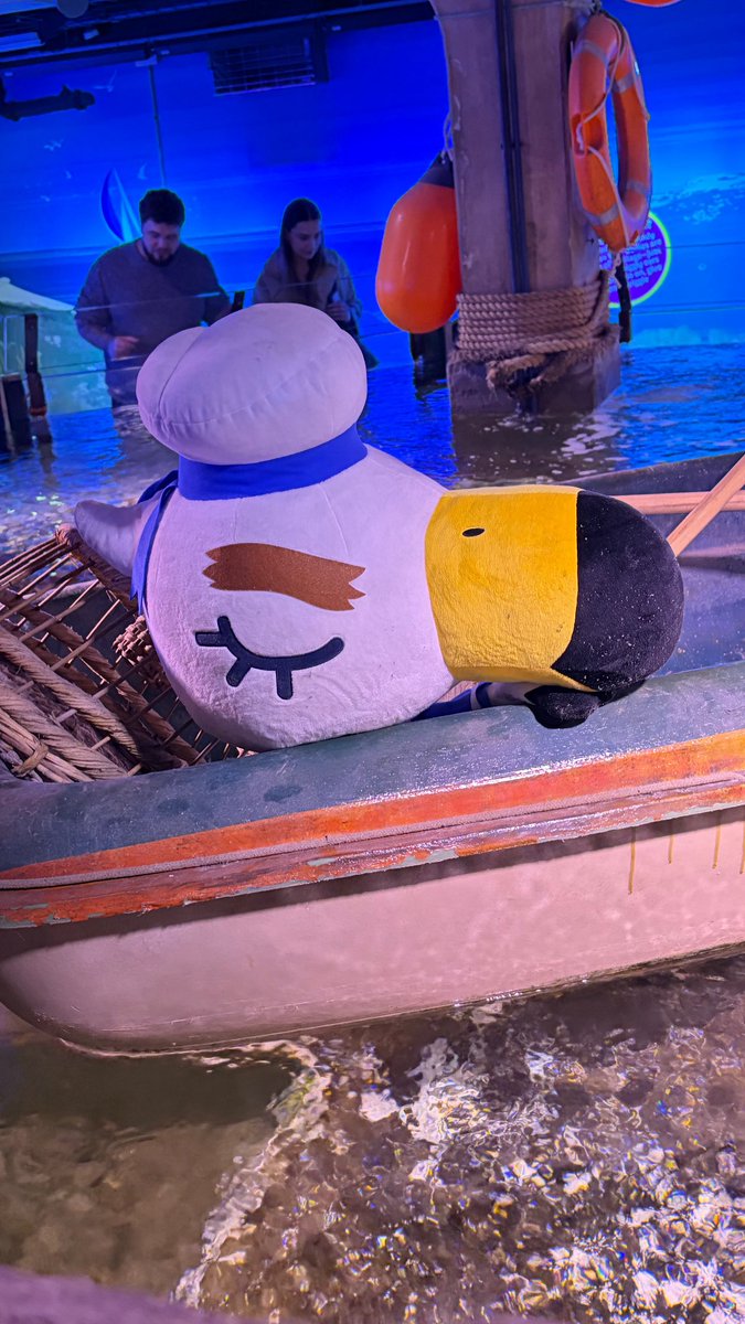 MeikoCollects's tweet photo. Had the best time at Sealife x Animal Crossing https://t.co/WCSCe8VTNP
