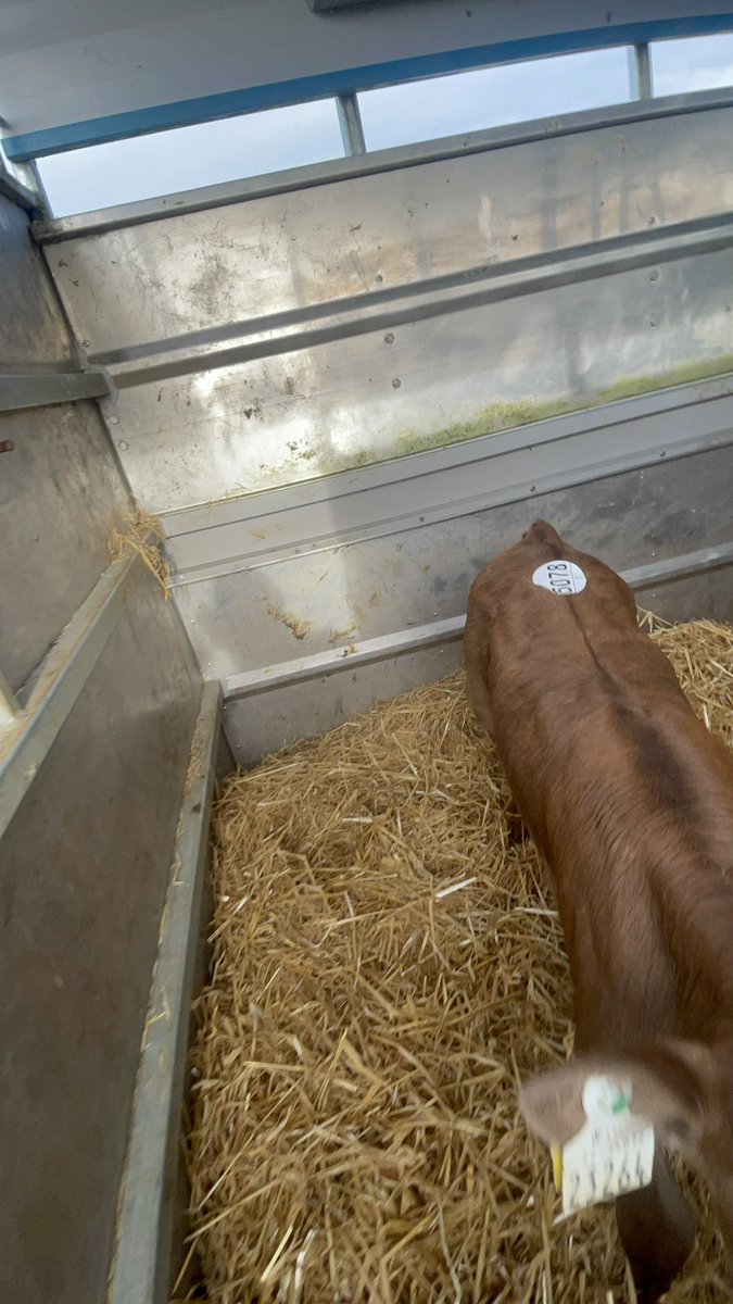 Ger Hogan tweet media