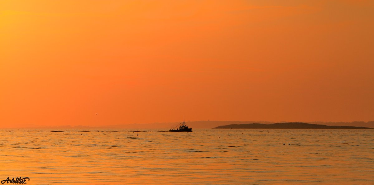 ArloWest's tweet image. Every morning in the summer months I hear the lobster boats heading out to fish. Then in the afternoon they start coming back in with the catch of the day.
#lobster #PhotographyIsArt #Maine #landscapephotography #OceanStateOfMind