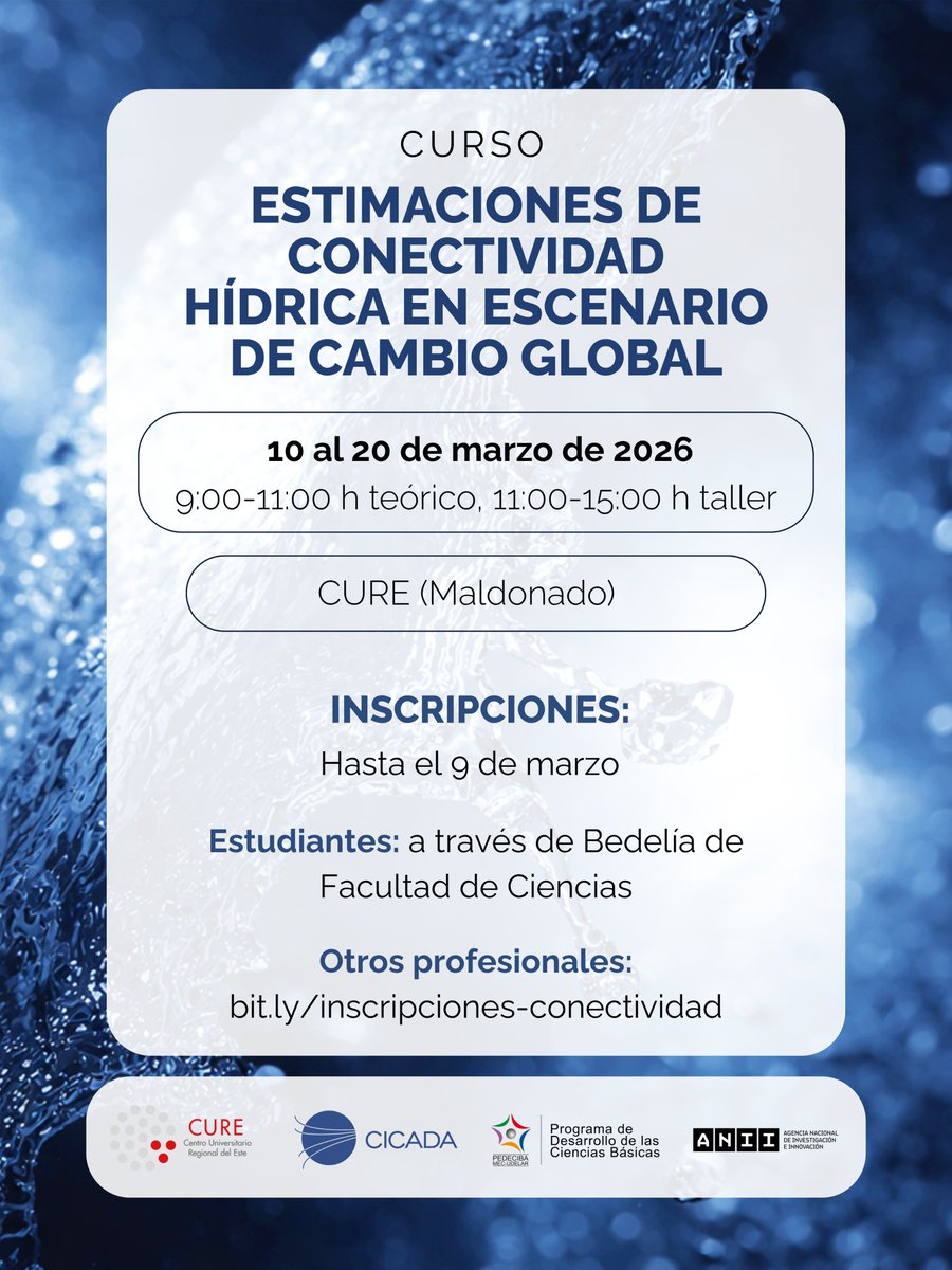 cicada.uy tweet media